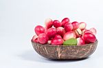 Bengal-currants On Coconut Shell Stock Photo