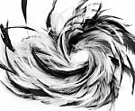 Black And White bird Feathers Stock Photo