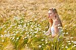 Blond Girl On The Camomile Field Stock Photo