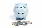 Blue Piggy Bank Savings Stock Photo