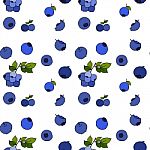 Blueberry Seamless Pattern By Hand Drawing On White Backgrounds Stock Photo