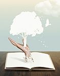 Book With Paper Cut Of Tree Stock Photo