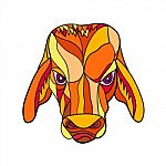 Brahma Bull Head Mosaic Color stock image