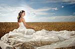 Bride In Wheat Stock Photo