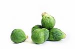 Brussels Sprout Stock Photo