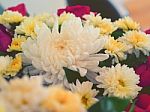 Bunch Of Vivid Flowers, Selective Focus White Chrysanthemums Stock Photo