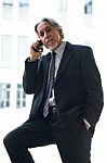 Business Man With Mobile Phone Stock Photo