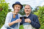 Caucasian Couple Toasting With Glasses Of Red Wine In Vineyard Stock Photo