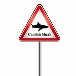 Caution The Shark Stock Photo