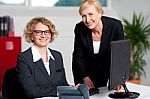 Cheerful Businesswomen Working In Office Stock Photo