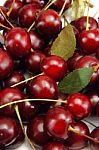 Cherry Group Stock Photo