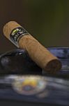 Cigar Stock Photo