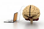 Computer Connected To A Brain Stock Photo