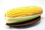 Corn On White Background Stock Photo