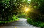 Country Road Green Tree And Sunbeam Stock Photo