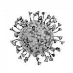 Covid-19 Sars, Coronavirus, Sars-cov, Sars Cov, Virus 2020 , Mer Stock Photo