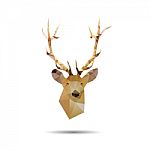 Deer Head Abstract Isolated Stock Photo