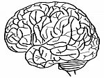 Doodle Uman Brain Outline Sketched Up Stock Photo