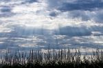 Dramatic Rays Of Light Shining Through Dark Clouds Stock Photo