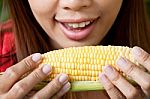 Eating Corn Stock Photo