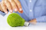 Eco Light Bulb Concept  Stock Photo