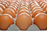 Eggs Stock Photo