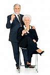 Elderly Couple Toasting Stock Photo