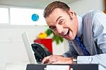 Excited Businessman Working On Laptop Stock Photo