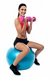 Fit Woman In Gym Working Out With Dumbbells Stock Photo