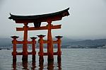 Floating Torii Gate Of Itsukushima Shrine Stock Photo
