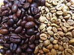 Focus 2 Colors Coffee Bean Stock Photo