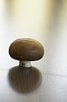 Fresh Chestnut Mushroom Stock Photo