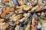 Fresh Mussels Stock Photo