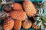 Fresh Pineapple In Basket Stock Photo