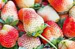 Fresh Strawberries Stock Photo