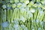 Fresh Vegetables With Ice Stock Photo