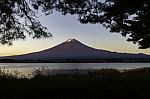 Fuji Mountain With Silhouette Frame Of Tree Stock Photo