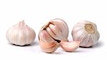 Garlic Isolated On White Background Stock Photo