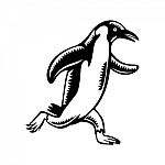 Gentoo Penguin Running Woodcut Stock Photo