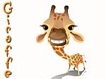 Giraffe Stock Photo