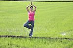 Girl Practicing Yoga In Paddy Field Stock Photo
