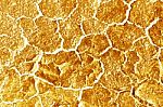 Gold Abstract Background Stock Photo