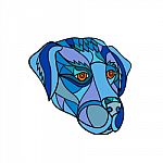 Golden Retriever Head Mosaic Color stock image