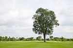 Golf Course Stock Photo