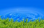 Grass In Blue Water Stock Photo