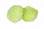Green Cabbage Stock Photo
