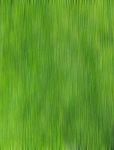 Green Grass Motion Blur Stock Photo