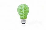 Green Leaf Lamp Stock Photo