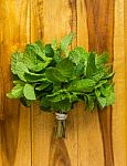 Green Peppermint Stock Photo