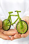 Hand Holding Eco Bicycle